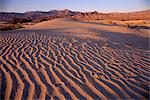 Sand dunes at Stovepipe Wells, Death Valley National Park, California, United States of America, North America