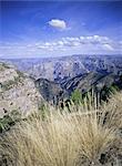 Copper Canyon, Sierra Tarahumara, Sierra Madre, Chihuahua, Mexique, Amérique centrale
