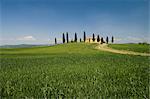 Countryside near Pienza, Val d'Orcia, Siena province, Tuscany, Italy, Europe