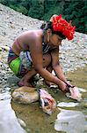 Embera Indian cleaning fish, Soberania Forest National Park, Panama, Central America