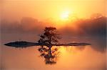 Lever du soleil, le Parc National Kruger, Afrique du Sud, Afrique