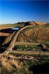 Steelrigg Ost-Craglough, Roman Wall, Hadrianswall, UNESCO Weltkulturerbe, Northumberland (Northumbria), England, Vereinigtes Königreich, Europa