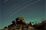 Time exposure at night, Joshua Tree National Park, California, United States of America (U.S.A.), North America