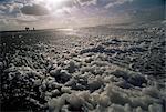 Mousse de l'océan Pacifique sur la côte près de Westport, Washington État, États-Unis d'Amérique (Etats-Unis), l'Amérique du Nord