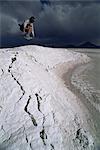 Sauter au-dessus des dépôts de borax sur les frontières Laguna Colorado, Bolivie, Amérique du Sud