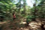 Garçon sautes sur vigne, Parc National de Corcovado, péninsule d'Osa, Costa Rica, Amérique centrale