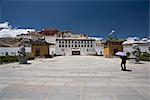 Chinois pierre lions en dehors du Palais du Potala, Lhassa, Tibet, Chine, Asie