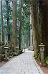 Entrance Path (Sando), Okunoin graveyard, site of 20000 Buddhist gravestones, Koya-san, Kansai (Western Province), Honshu, Japan, Asia