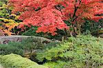 Shojo-fr, jardin Zen, Nikko, Honshu Central (Chubu), Japon, Asie