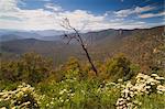 Alpine High Country, Snowy River National Park, Victoria, Australia, Pacific