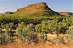 Newcastle Range, Gregory National Park, Northern Territory, Australia, Pacific