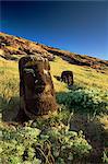 Moais, Cantera Rano Raraku, île de Pâques (Rapa Nui), Chili, Amérique du Sud