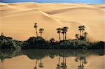 Lac Oum el Ma (Oum el Ma), vallée de Mandara, au sud-ouest du désert, la Libye, en Afrique du Nord, Afrique