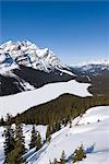 Lac Peyto, Sommet Bow, Parc National Banff, patrimoine mondial de l'UNESCO, montagnes Rocheuses, Alberta, Canada, Amérique du Nord