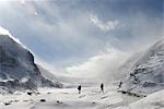 Columbia Icefield, Parc National Jasper, UNESCO World Heritage Site, montagnes Rocheuses, Alberta, Canada, Amérique du Nord