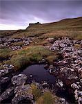 Ruines de Duntulm Castle, Trotternish, île de Skye Macdonald mènent, Hébrides intérieures, région des Highlands, Ecosse, Royaume-Uni, Europe
