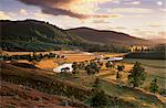 Upper Dee valley near Inverey, Deeside, Aberdeenshire, Scotland, United Kingdom, Europe