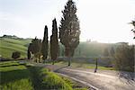 Route et cyprès près de Pienza, Val D'Orcia, Toscane, Italie, Europe