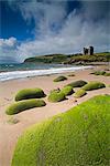 Minnard Beach, Dingle, County Kerry, Munster, Republik Irland, Europa