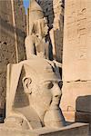 Statue du pharaon Ramsès II (Ramsès le grand), Temple de Luxor, Luxor, Thèbes, patrimoine mondial de l'UNESCO, Egypte, Afrique du Nord, Afrique