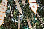 Buddhist flags in temple trees, Chiang Mai, Thailand, Southeast Asia, Asia