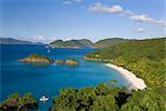 Vue surélevée sur la célèbre plage à Trunk Bay, St. John, US Virgin Islands, West Indies, Caraïbes, Amérique centrale