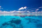 Tropical island surrounded by lagoon, Maldives, Indian Ocean, Asia