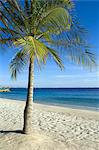 Beach at Harbour Village Resort, Bonaire, Netherlands Antilles, Caribbean, Central America