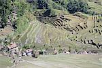 Spektakuläre Amphitheater von Reis-Terrassen rund um den Berg Provinz Dorf von Batad, Norden der Insel Luzon, Philippinen, Südostasien, Asien