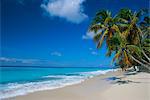 Worthing Beach sur la côte sud du Sud paroisse de Christ Church, Barbade, Caraïbes, Antilles, Amérique centrale