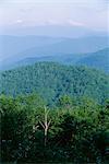 Looking over the Appalachian mountains from the Blue Ridge Parkway in Cherokee Indian Reservation, North Carolina, United States of America (U.S.A.), North America