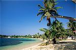 Beach Resort du West End, sur Roatan, la plus grande des îles de la baie, le Honduras, Caraïbes, Amérique centrale