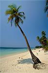 West Bay, Roatan, la plus grande des îles de la baie, au Honduras, Caraïbes, Amérique centrale