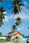 Grass Huts, Baoruca, Dominican Republic