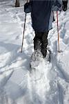 Schneeschuhwanderer, Prince Edward County, Ontario, Kanada