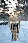 Snowshoes in Snowdrift