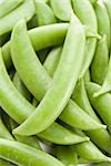 Closeup of Snow Peas