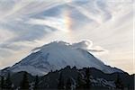 Mount rainier