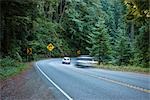 Highway 199 durch Jedediah Smith State Park, Nord-Kalifornien, Kalifornien, USA