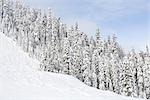 Snoqualmie Pass, Washington, USA