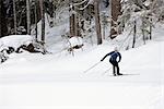 Man Cross Country Skiing, Whistler, British Columbia, Canada