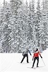 Backview of Couple Cross Country Skiing, Whistler, British Columbia, Canada