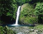 Jourennotaki Wasserfall in der Präfektur Shizuoka