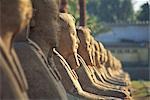 Sphinx at  Luxor Temple in Egypt