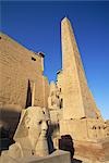 Obélisque et Sphinx au Temple de Louxor, Egypte