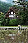 Reflection of Japanese House in Water, Japan, Gifu Prefecture