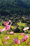 Blick auf Dorf Shirakawa in Japan