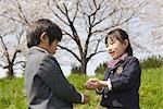 Japanese kids playing with cherry flowers