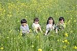 Enfants japonais assis dans le champ de moutarde
