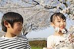 Japanische Kinder betrachten Kirsche Blume